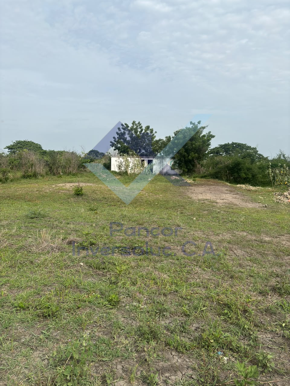 Terreno en Venta en Ciudad Alianza - Aguasal (H - B - PE)