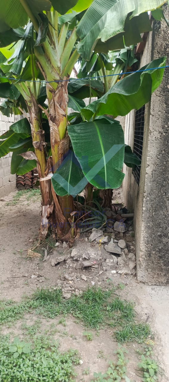 Local en Venta en Guacara - El Saman (1H - 1B - 1PE)