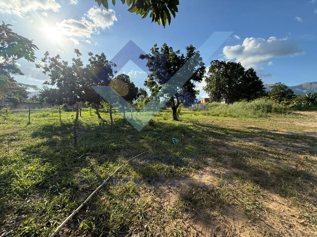 Terreno en Venta en San Diego (H - B - PE)