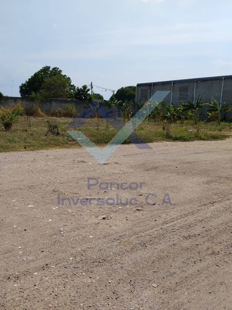 Terreno en Venta en Vigirima (H - B - PE)