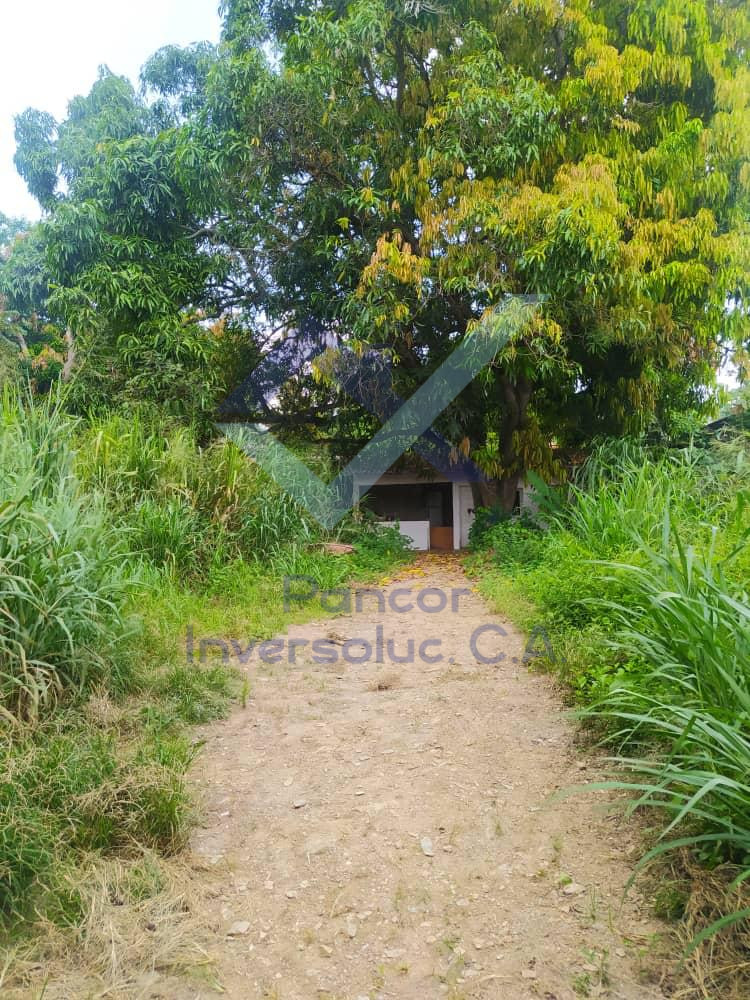 Terreno en Venta en Guacara - Centro (H - B - PE)