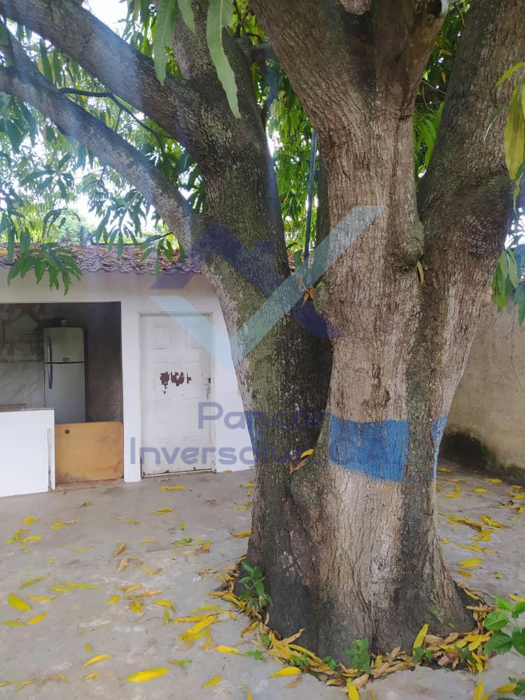 Terreno en Venta en Guacara - Centro (H - B - PE)