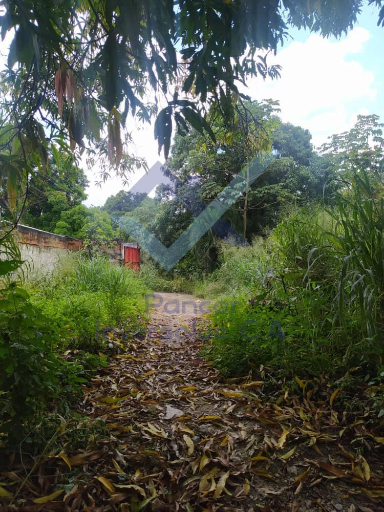 Terreno en Venta en Guacara - Centro (H - B - PE)
