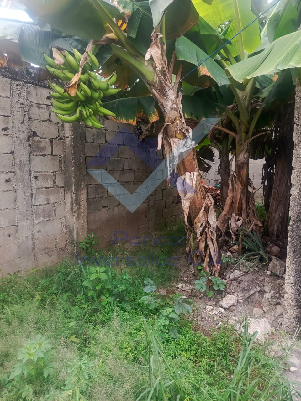 Casa en Venta en Guacara - El Saman (1H - 1B - 2PE)